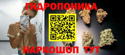 амф Пушкино