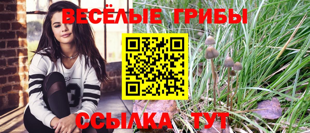 Галлюциногенные грибы Psilocybe  Вход с VPN  Сатка 